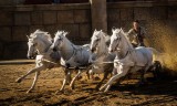 Toruń. "Ben Hur" i trzy inne premiery w Cinema City od dziś [WIDEO]