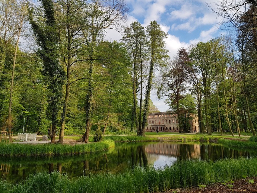 Pałac Doroty Talleyrand de Biron w Zatoniu położony jest od...