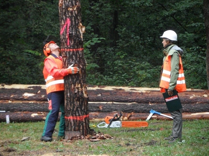 Cietrzewisko 2013 w Koszęcinie