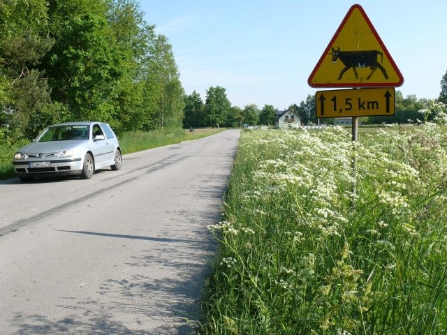 Droga powiatowa przed Komparzowem, w gminie Kluczewsko.