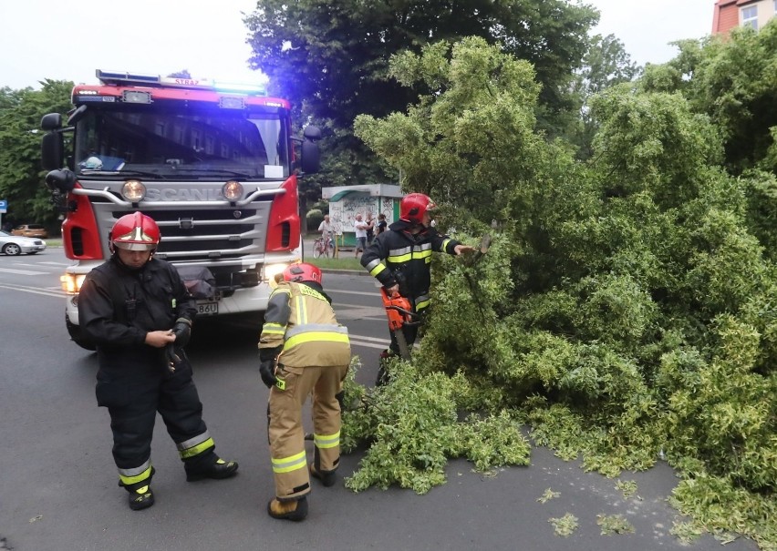 Burza w Szczecinie i regionie. Około 140 interwencji straży pożarnej