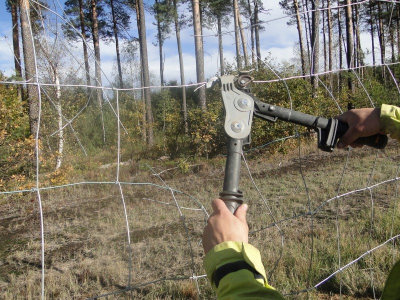 200 km ogrodzenia przy autostradzie A4. Drogowcy budują, a ludzie kradną na potęgę (ZDJĘCIA)