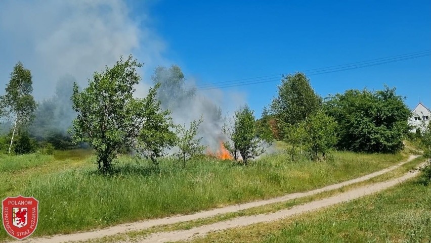 Pożar traw i gałęzi