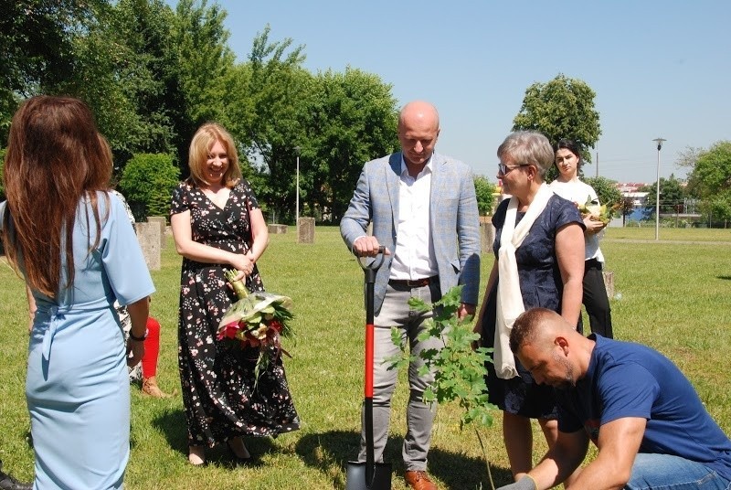 Zespół Szkół Plastycznych imienia Józefa Brandta w Radomiu zaprosił aż na dwa jubileusze