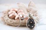 Dekoracje wielkanocne z jajek – galeria zdjęć. Wyjątkowe wielkanocne stroiki i świąteczne ozdoby. Pomysły na jajka na Wielkanoc