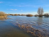 Powodzi na Żuławach nie możemy wykluczyć. Kraina z wierzbami i rzepakiem - wielokrotnie zalewana, z trudną historią