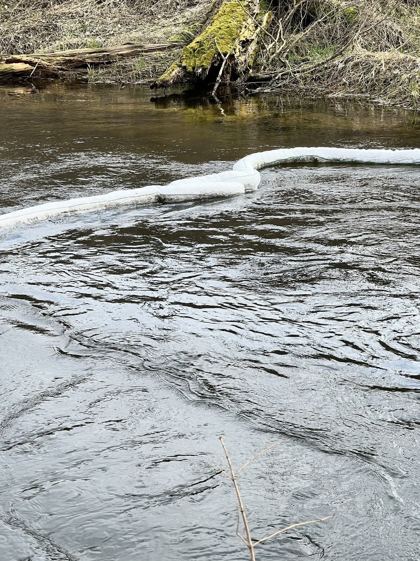 Skażenie chemiczne rzeki pod Poznaniem