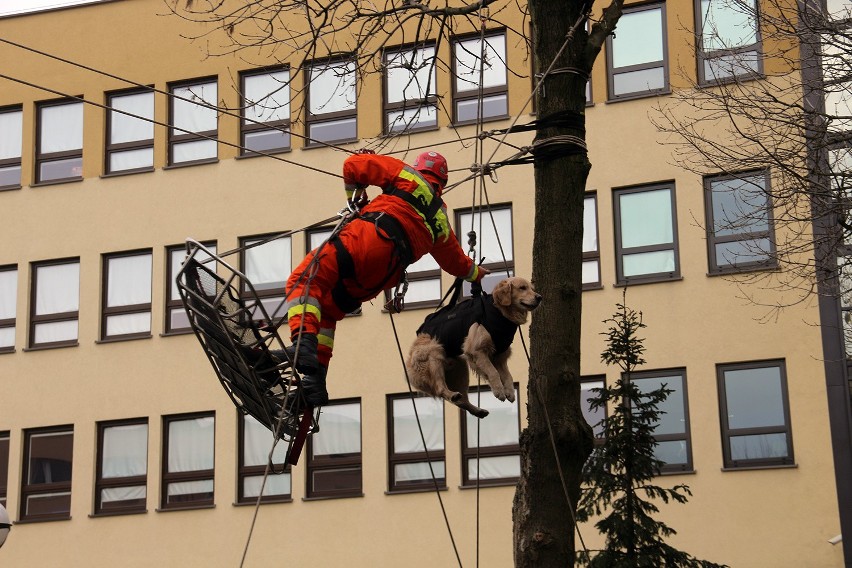 Centrum Bezpieczeństwa i Edukacji Służb Mundurowych Wyższej...