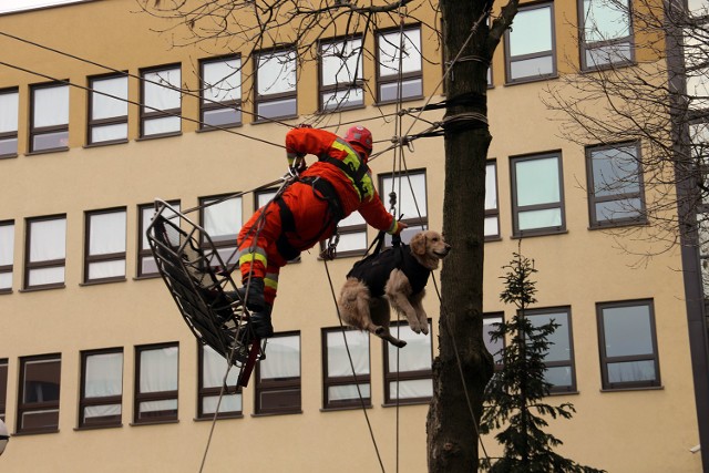 Centrum Bezpieczeństwa i Edukacji Służb Mundurowych Wyższej Szkoły Biznesu w Dąbrowie Górniczej świętowało 7-lecie