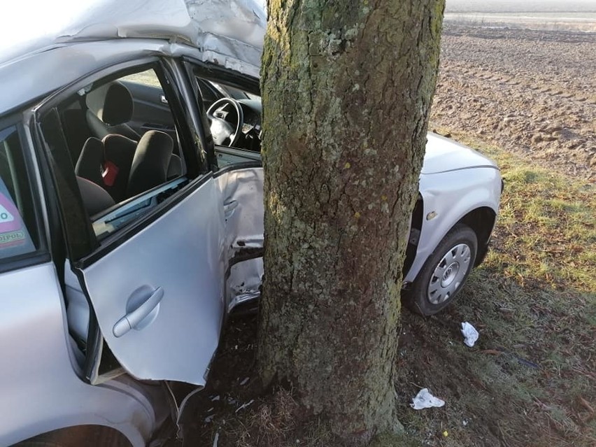 Groźny wypadek pod Wrześnią. Samochód uderzył w drzewo.