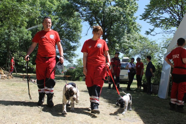 Ratownicy od piątku do niedzieli prowadzą w Bielicach ćwiczenia, na które zaprosili grupy poszukiwawcze z całej Polski.