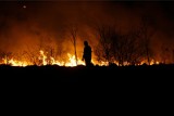 Nocny pożar w Mierzynie. Spłonęły baloty siana oraz metalowa wiata