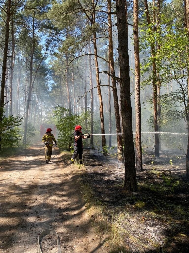 Ogień w lesie w Małej Nieszawce. To już kolejny pożar w ostatnich dniach