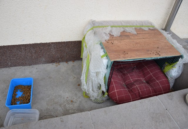 We Włoszczowie mieszkańcy bardzo dbają o bezdomne zwierzęta. Ten kojec dla kota stoi od dawna przy budynku szpitala.