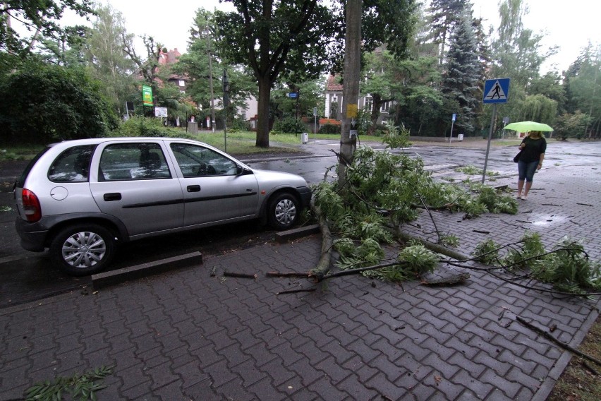 Burza we Wrocławiu: Silny wiatr łamał drzewa. Strażacy usuwają skutki nawałnicy (ZDJĘCIA)