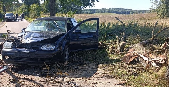 Kierowca volkswagena widział spadające na jezdnię drzewo, ale niewiele mógł zrobić. Auto w nie uderzyło. Do zdarzenia doszło na odcinku drogi Gwieździn – Grodzisko (gm. Rzeczenica).