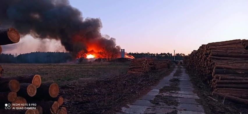 Pożar firmy Drewland koło Sieradza. Straty po pożarze w Pokrzywniakach szacuje się na 1,8 mln zł. Rodzina i znajomi apelują o pomoc