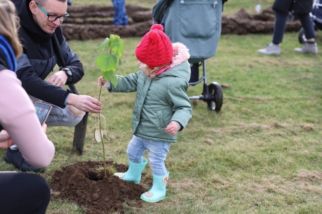 W zeszłym roku drzewka posadzili rodzice 105 maluchów urodzonych w 2021 i 2022 roku.