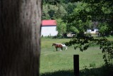 Słubice to rowerowy raj! Zabieramy Was na wycieczkę malowniczą ścieżką do Drzecina. Ale widoki!