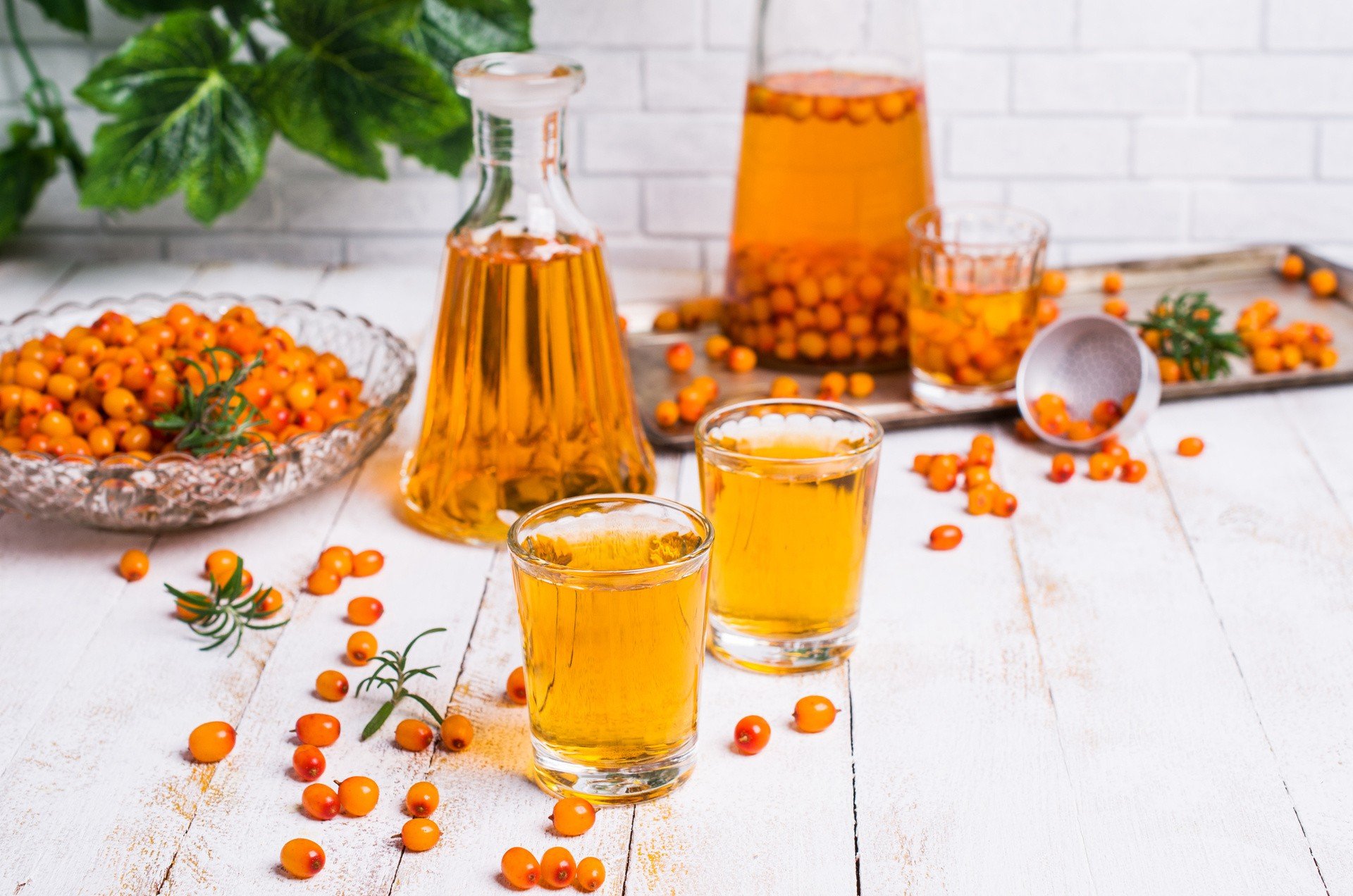 Масло из облепихи в домашних условиях. Настойка облепиха Sea Buckthorn. Сбитень облепиховый. Медовуха облепиха мята. Наливка Облепиховая.