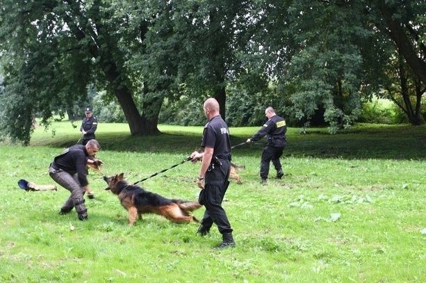 Policjanci doskonalili umiejętności swoich psów służbowych w...