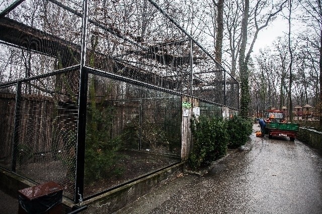 Na terenie całego zoo zostaną rozmieszczone 22 kamery.