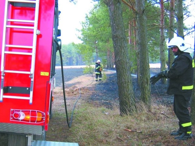 Grajewscy strażacy podczas jednej z tegorocznych interwencji gaszenia pożaru traw