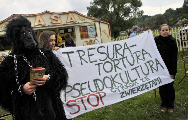 Powszechne są protesty przeciwko cyrkom, które w swoich spektaklach wykorzystują tresowane zwierzęta. Głównym zarzutem są niehumanitarne warunki w jakich muszą one żyć