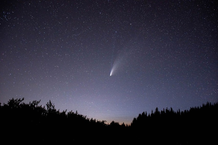 Wykrycia komety dokonali 2 marca 2022 roku astronomowie...