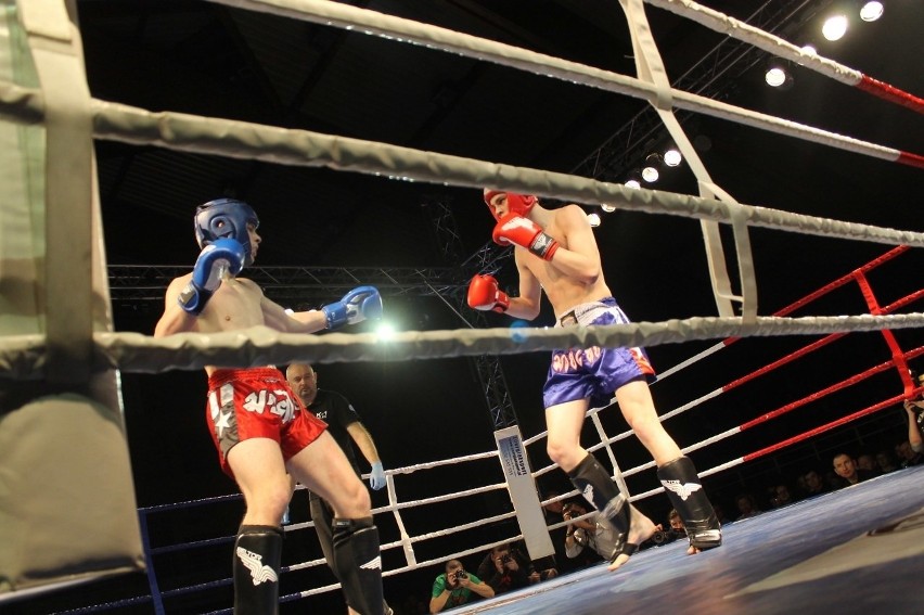 Głogowianie zdominowali Legion Fight Night [Zdjęcia Część 1]