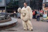 "Futro z misia". Obsada filmu "Chłopaki nie płaczą" znowu na planie! Kogo zagra Sławomir Zapała?