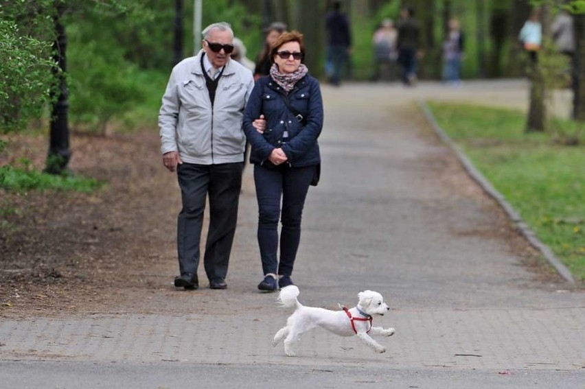 Pogoda w Wielkopolsce: Wiosna nadeszła na dobre?