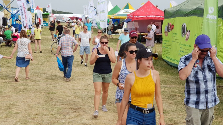 Opolagra 2019. Rolnicze cuda techniki w Kamieniu Śląskim. Zobacz najlepsze maszyny rolnicze