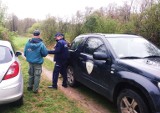 Ciechanowiec. Policjanci szukali kłusowników 