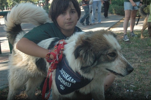 Klaudia jest wolontariuszką w azylu dla psów. W czasie piątkowej akcji Amicusa opiekowała się Czarlim. 