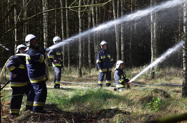 Około 30 jednostek straży pożarnej z powiatów inowrocławskiego, mogileńskiego, żnińskiego i nakielskiego wzięło udział w pozorowanej akcji gaśniczej na terenie lasu w Zajezierzu (gm. Gniewkowo). Głównym celem ćwiczeń było zgranie poszczególnych zastępów oraz zapewnienie strażakom będącym na pierwszej linii stałego zaopatrzenia w wodę.