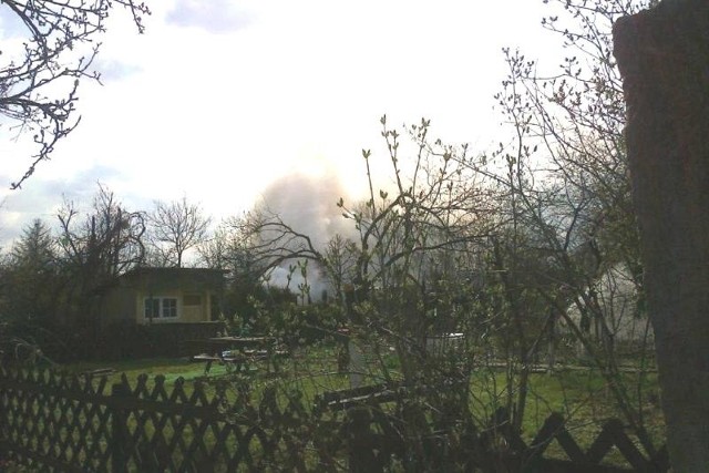 Pożar wybuchł na działkach przy Sosnkowskiego.