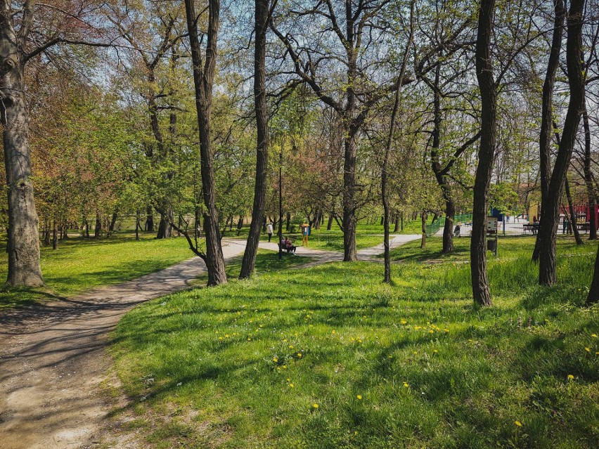 Park Mickiewicza w Wieliczce - założony w 1835 roku, jako...