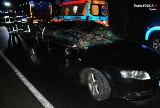 Wskutek silnego wiatru w Żywcu zostały uszkodzone trzy auta. Na jadące samochody runęło drzewo. Ranny 36-latek trafił do szpitala! ZDJECIA 