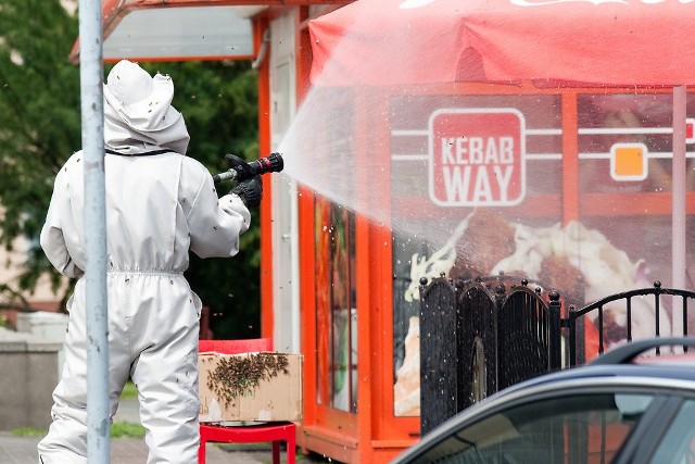Strażacy walczyli z pszczołami w centrum SłupskaStrażacy walczyli z pszczołami w centrum Słupska