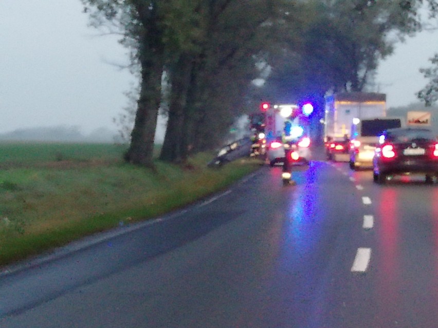 Wypadek na drodze Wrocław - Strzelin. Dwa auta w rowie 