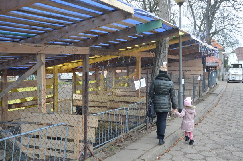 Zielona Góra. Zobacz, jak wygląda bożonarodzeniowa Żywa Szopka w Chynowie