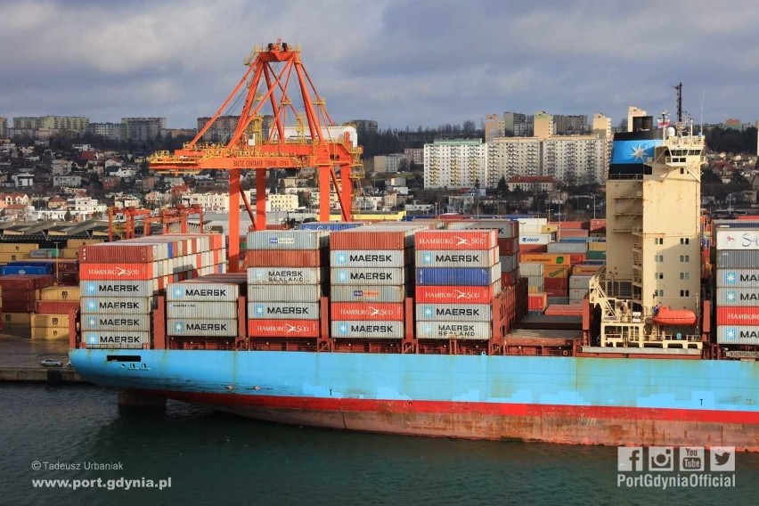 Charlotte Maersk w Porcie Gdynia, 12.02.2019