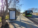 Poznań modernizuje przystanki autobusowe. Zobacz, które się zmienią i gdzie powstaną nowe