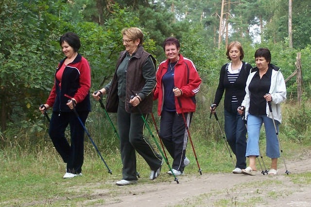 Panie z klubu seniora podczas spaceru po lesie