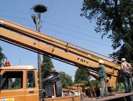 Elektrycy naprawiają swoje błędy.