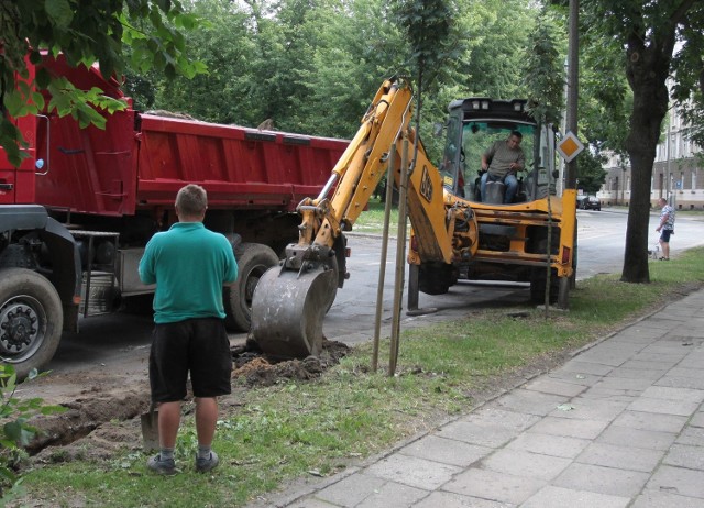Drogowcy rozbierają stare krawężniki wzdłuż ulicy Planty w Radomiu, na odcinku pomiędzy Kościuszki a Broni.