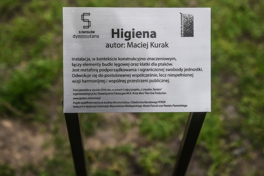 Park Wilsona: Powstała niezwykła instalacja Macieja Kuraka