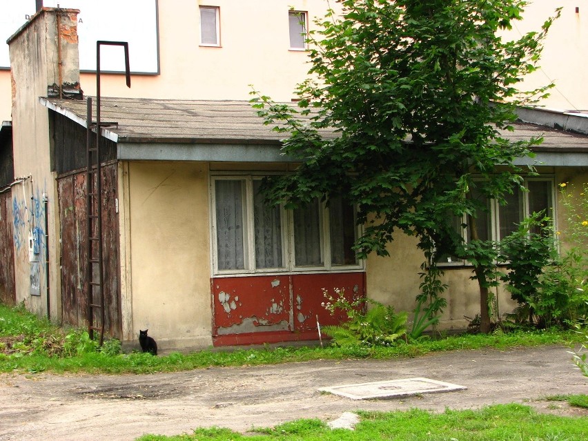 Mój Reporter: Co z barakami przy ulicy Przybyszewskiego? (ZDJĘCIA)