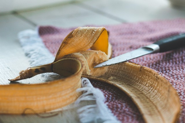 Jak się okazuje, banan ma nie tylko walory smakowe. Pewne zalety przypisuje się również skórce od banana, która ma zaskakujące zastosowania. Sprawdź, do czego warto wykorzystać skórkę po zjedzonym bananie, a już nigdy jej nie wyrzucisz!